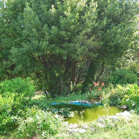 Casale Dei Lauri In Gargano *